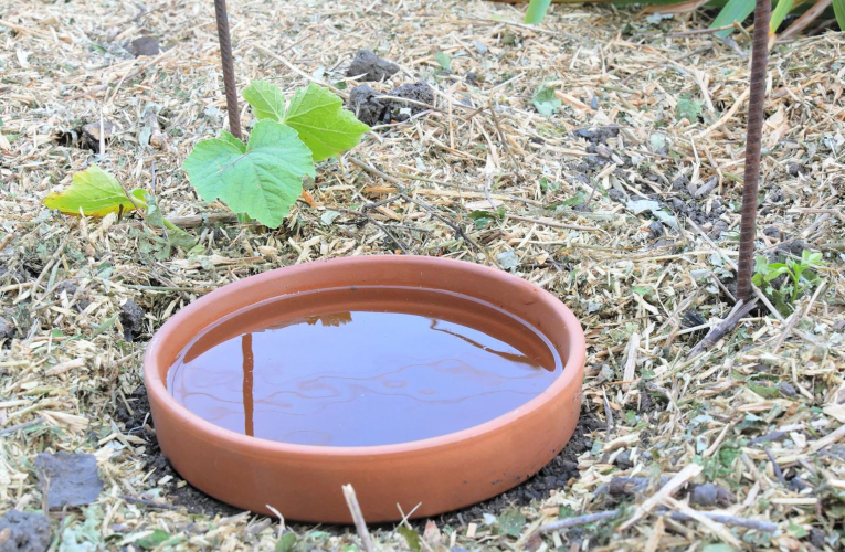 Des équipements simples et peu coûteux permettent de réduire la consommation d’eau au jardin pendant l’été. ( crédit photo : Shutterstock )