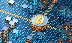 Seuls les intermédiaires disposant du statut de PSAN ou PSCA sont autorisés à proposer leurs services en matière d’investissement dans les cryptoactifs en France. ( crédit photo : Getty Images )